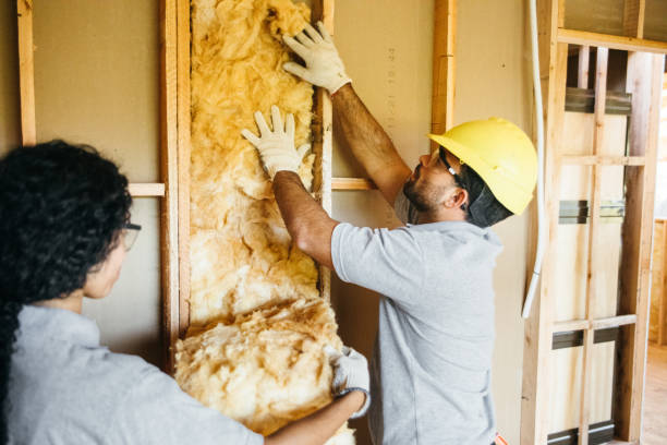  , USA Insulation Services Pros